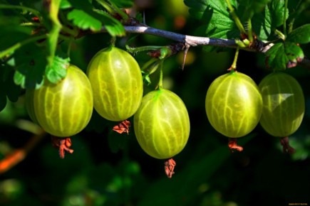 ����������� ������ �� ������� ���������� ��� ��������� ������� ������