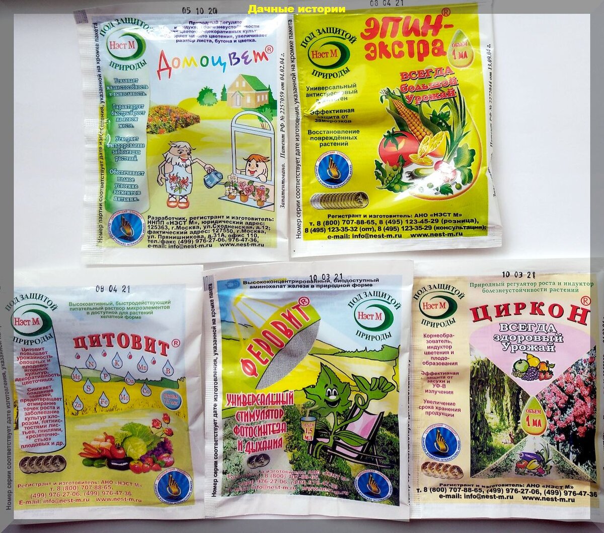 Как поддержать рассаду после пикировки: советы и препараты для быстрого восстановления