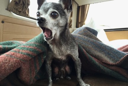 15 �������������� ������, ������� ������������, ��� ������ � ������ ������ � �������� ��������