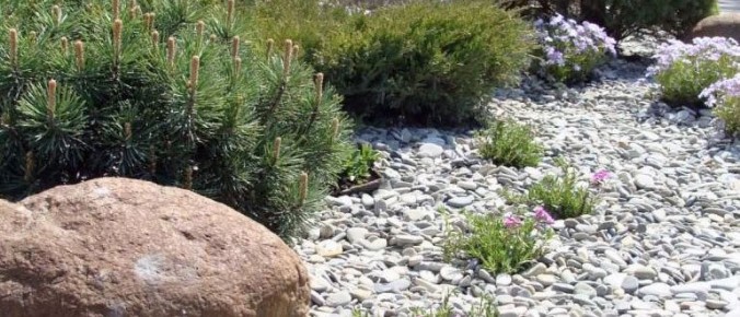 ��� ����� ����������� ��� ���: ��� � ����� � ������ ������