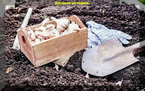 ���������� ������� ������� ������� �������: ������������ ��� ���������� ��������