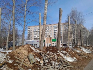 На улице Молодежной в Ижевске провели кронирование деревьев