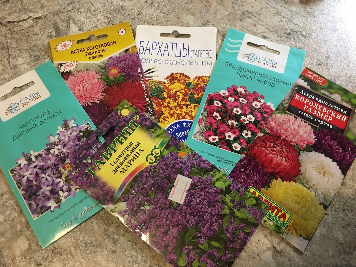 Достигните успеха в посеве цветов: три проверенных метода