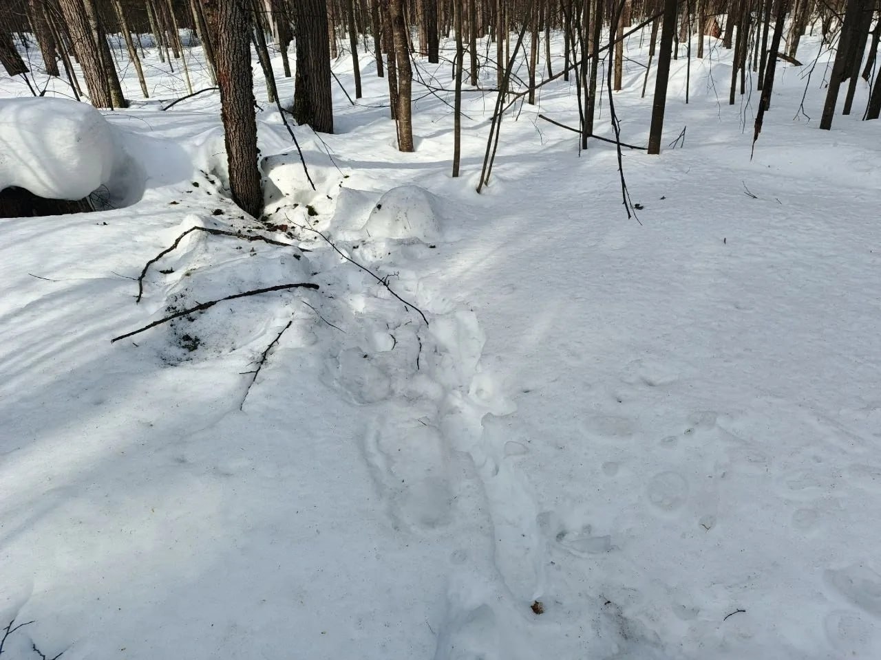В Ижевске добровольцы нашли тело пропавшего мужчины