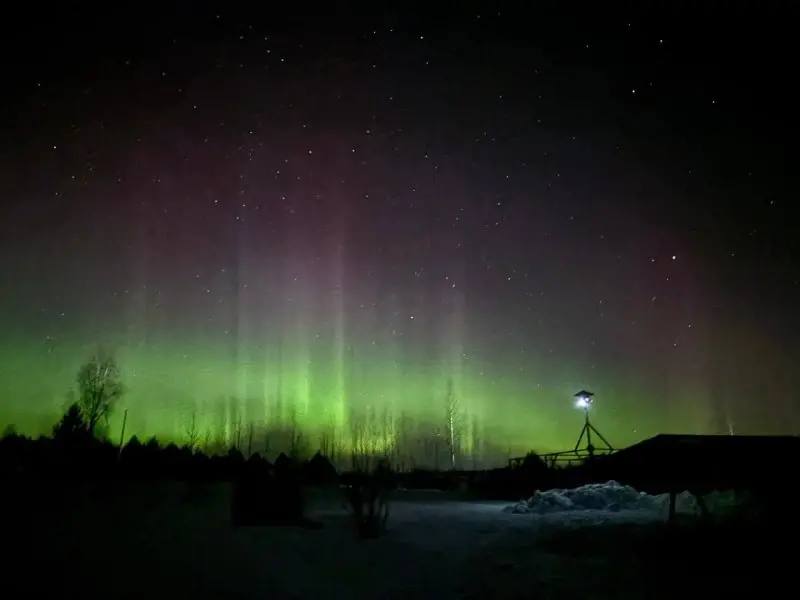 Проспали! В Удмуртии сегодня ночью можно было полюбоваться северным сиянием Проспали! В Удмуртии сегодня ночью можно было полюбоваться северным сиянием
