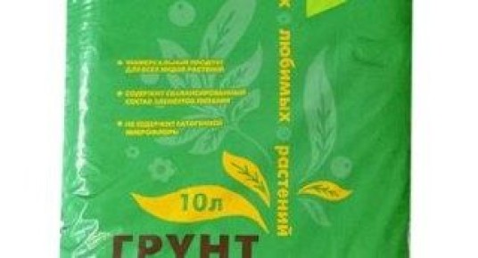 ��� � ��������� ������� ���������: ������ � ����� ��� ��������