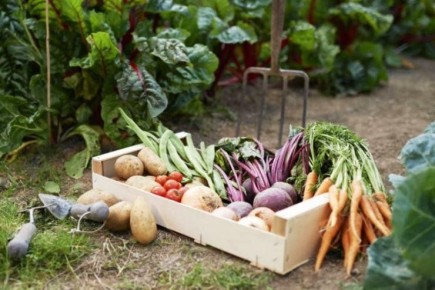 ����������� ������������� ����������� ������ ��� ��������