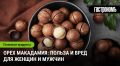 Макадамия: что нужно знать о пользе и возможном вреде ореха