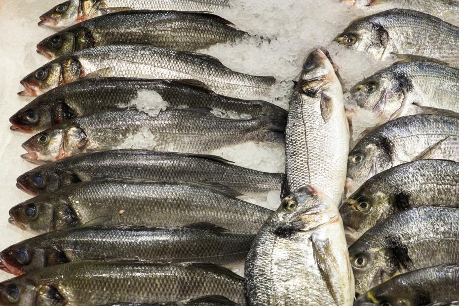 Кто покупает российскую рыбу: главные экспортеры 2024 года