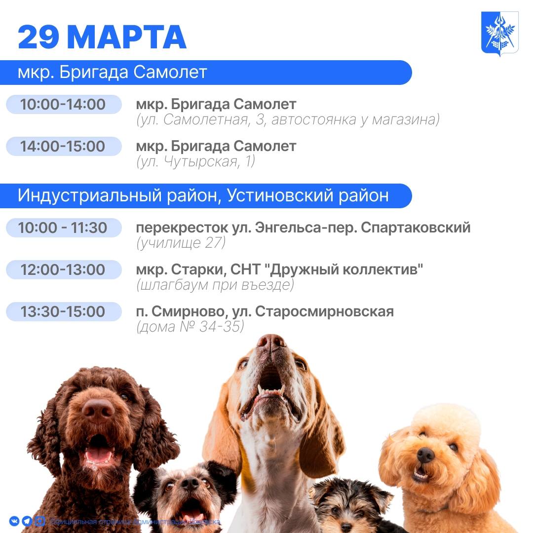 В Ижевске продолжают работать бесплатные выездные пункты вакцинации домашних животных от бешенства В Ижевске продолжают работать бесплатные выездные пункты вакцинации домашних животных от бешенства