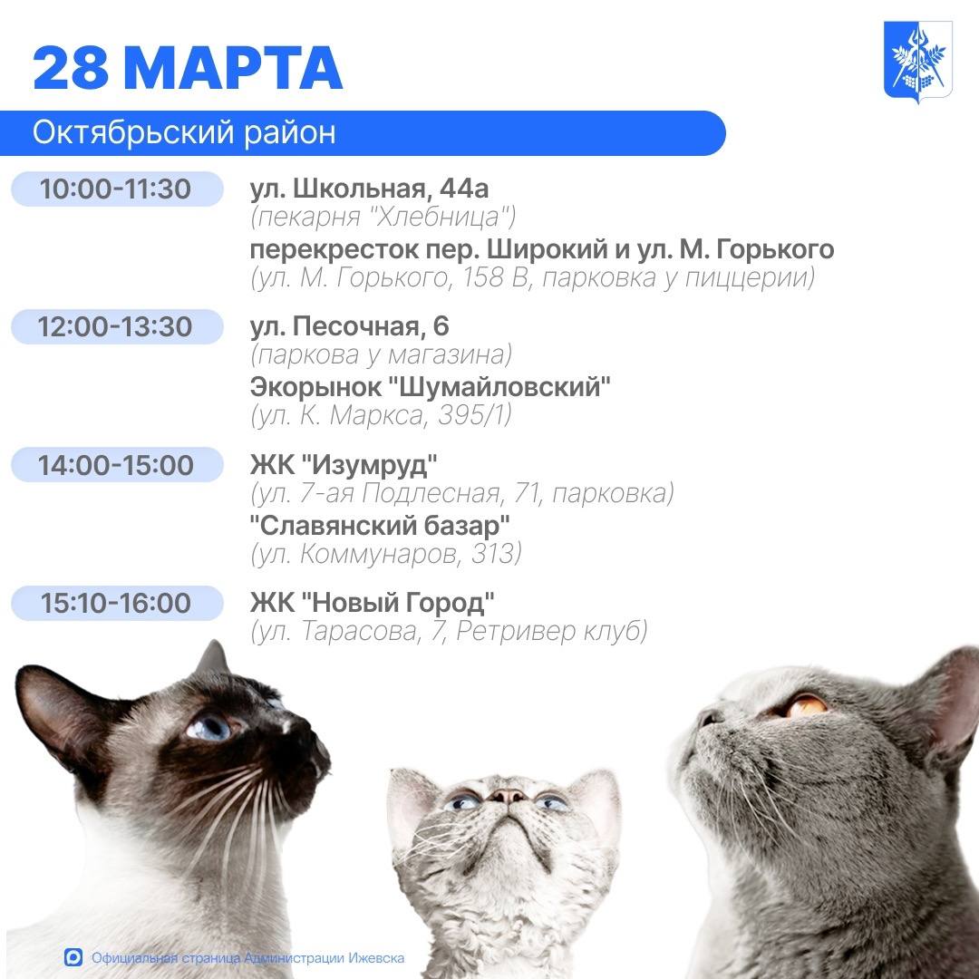 В Ижевске продолжают работать бесплатные выездные пункты вакцинации домашних животных от бешенства В Ижевске продолжают работать бесплатные выездные пункты вакцинации домашних животных от бешенства