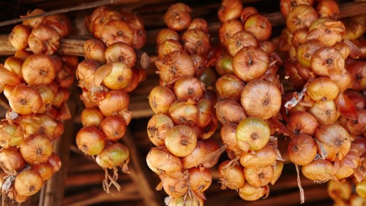 Как хранить лук: секреты долголетия на вашем столе