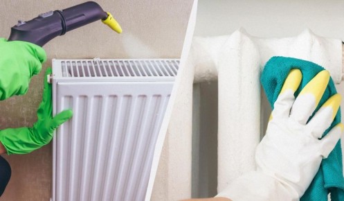 ������� ��� ������: ��� ������ ������ ������� � ����� ����