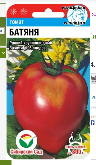 Томатный рай: какие высокорослые сорта рекомендуют садоводы