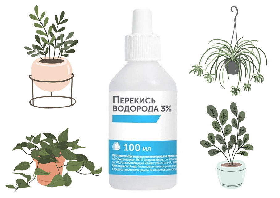 Перекись водорода для растений: что нужно знать о ее использовании