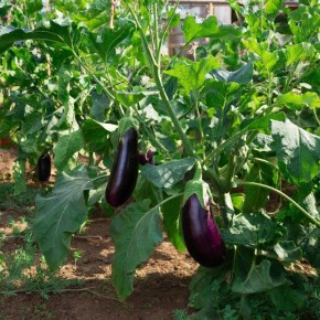 ����� � �����: ��� ����������� ������ ������������ ���������� ��� ���������� ������