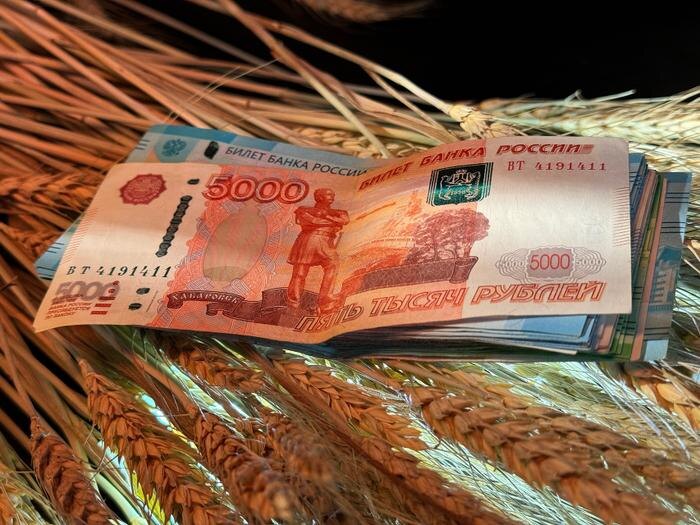 Как россиянам получить максимальную страховую пенсию в 67 тысяч рублей