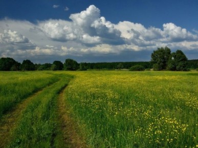 ������� ��� ��� ������: ��� �������� ��������� �����