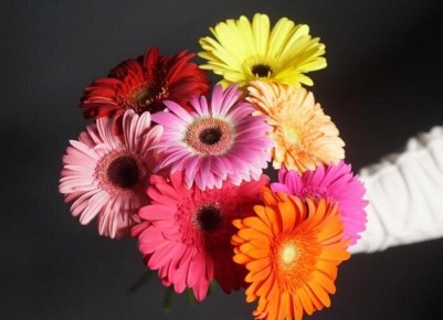 ������� � ����: ��� ��������� ��������� � �������� �������