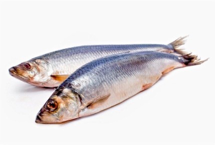 ������ ��������� ����������� ������� � ������� ������ � ���������