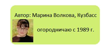�������� � ������: �� ����������� �� ��������� ������