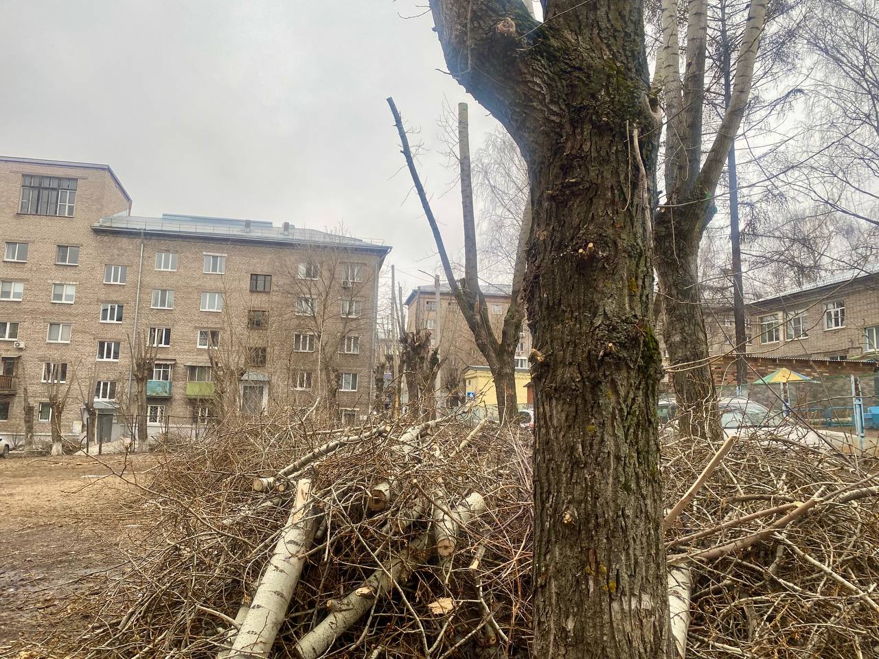 В Ижевске полным ходом идёт весеннее кронирование В Ижевске полным ходом идёт весеннее кронирование