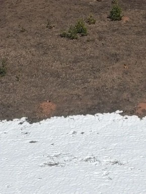 �����-������� ������� �� ������ ������ � ������������� ������ ��������, �������� �. �. �������� ��������� �������� � ������ ���������� ����� ������� ���� ��������