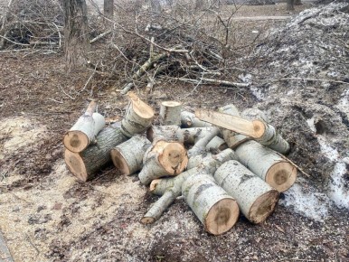 � ������� ������ ����� ��� �������� ������������