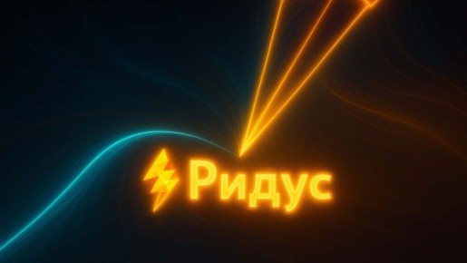 ЛДПР представила законопроект о защите данных и равном доступе к интернету