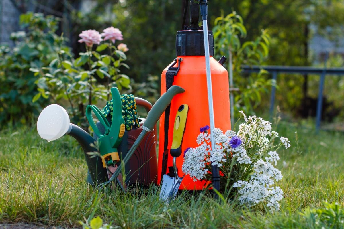 Выбор опрыскивателя для сада: советы по выбору и использованию