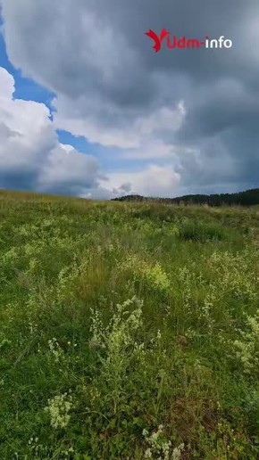 ���� �����: � �������� ���������� �������