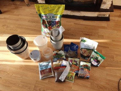 Как цветочный магазин удивил находчивым покупателем: лучшие находки для растений