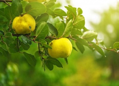 ����: ������� ��������� ����������� � ����� ����