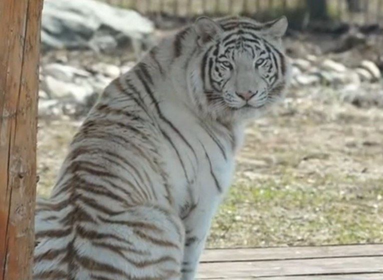 � ����������� ������� ���� �� �������� �������� ���...��� ����