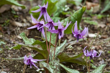 �������� ������ �� ����: ��� ��������� ������