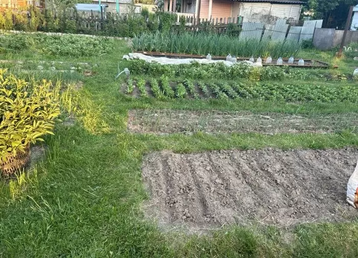 Подготовка почвы к зиме: секреты плодородия в ноябре