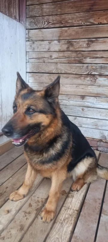 ������������ ����, ���� � ������ ��������� �� �������� � ����� ��������