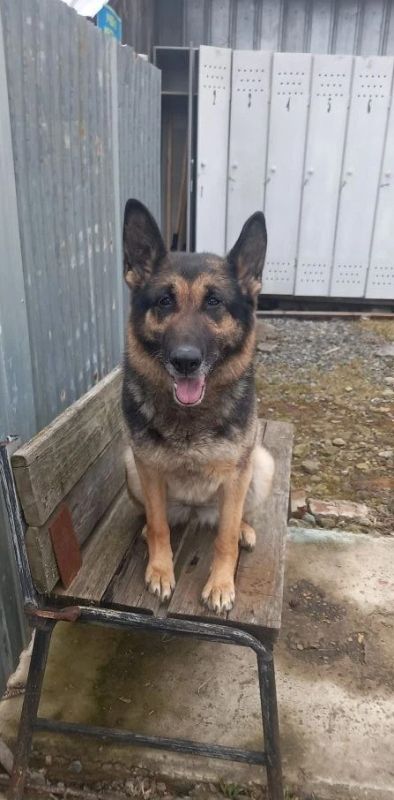 ������������ ����, ���� � ������ ��������� �� �������� � ����� ��������