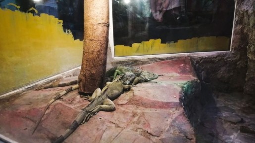 ��� ���������� ���������� �������� �������� � �� ���� ���� � �������