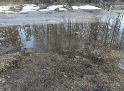 В подтопленных районах Удмуртии сохраняется стабильная санитарная обстановка, сообщает пресс-служба управления Роспотребнадзора по Удмуртии