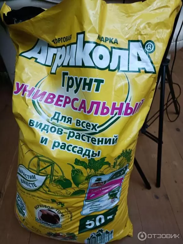 Почему мульчирование торфом может навредить вашей рассаде