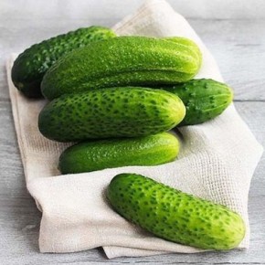 Огурец Забава: ранний гибрид с уникальным вкусом и стабильной урожайностью