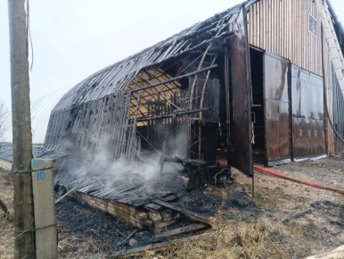 В Удмуртии на пожаре спасли 46 телят, сообщили в Государственной Противопожарной Службе УР