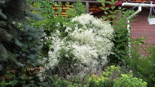 ������ ������������ �������� ����� ��������� � ������ ����