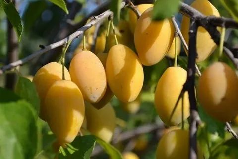 �������� ���������: 7 ������ ��� ��� ������� ������ ������