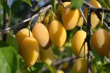 �������� ���������: 7 ������ ��� ��� ������� ������ ������