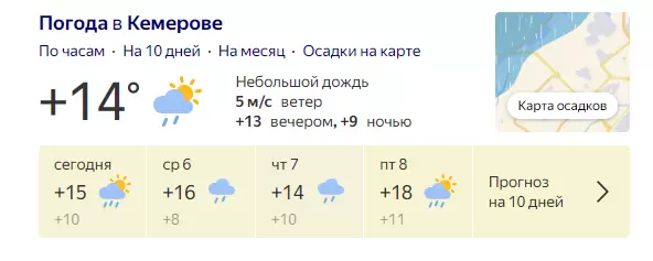 Помидоры в августе: секреты ухода для богатого урожая