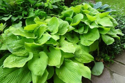 ��������� ����� � �������: ��������� ���