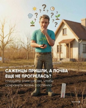 ��� ��������� ��������� ������� �� �������: ������ ��� ���������