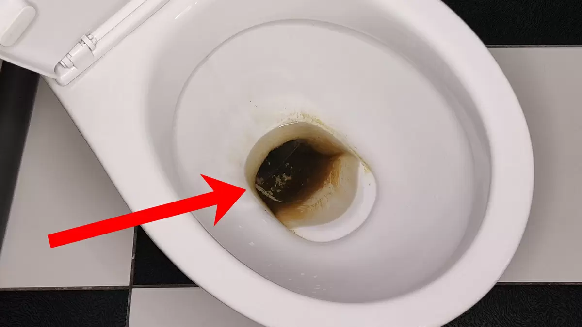 Естественные методы для сияющего унитаза